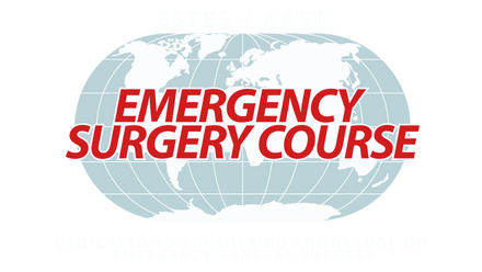 AAST Rotator Overlay (Emergency Surgery Course).png