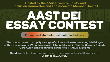 dei essay contest.png